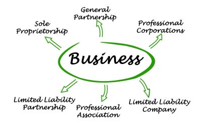 Our Preferred Business Structure