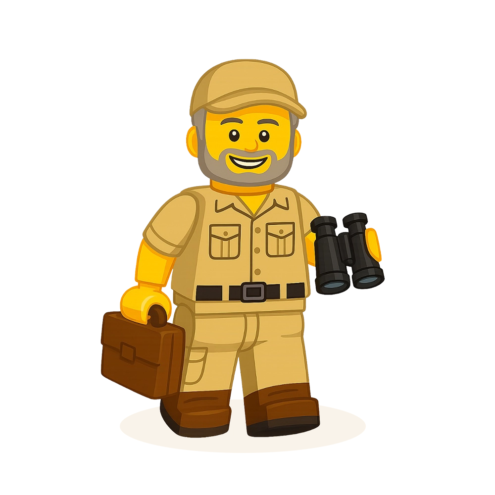 Conservation Consulting lego man